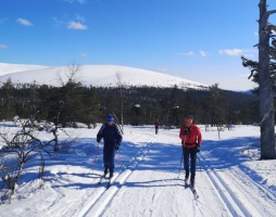 Border-to-Border Nordics Ski Tour 2025